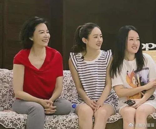 娱乐圈吃瓜博主女阿姨,揭秘娱乐圈背后的那些事儿